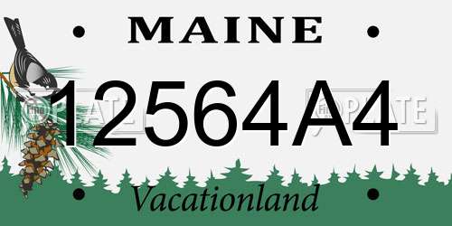 12564A4 Maine License Plate