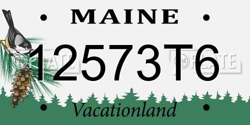 12573T6 Maine License Plate