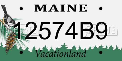 12574B9 Maine License Plate