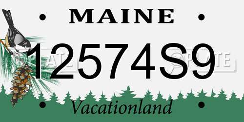 12574S9 Maine License Plate