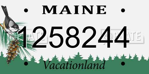 1258244 Maine License Plate