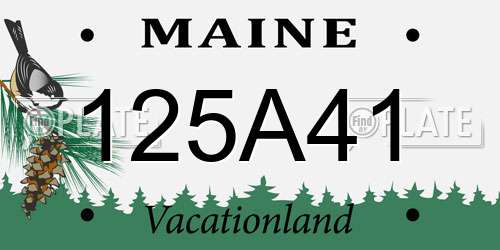 125A41 Maine License Plate