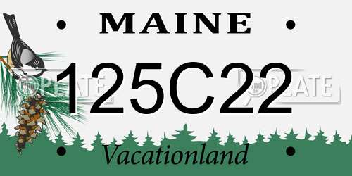 125C22 Maine License Plate