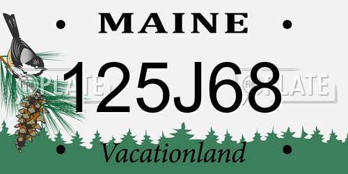 125J68 Maine License Plate