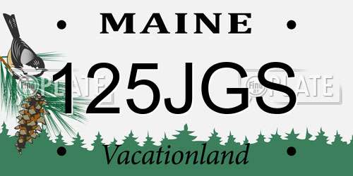 125JGS Maine License Plate