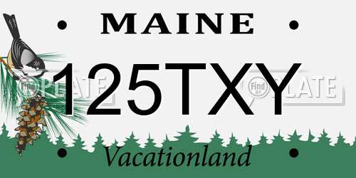 125TXY Maine License Plate