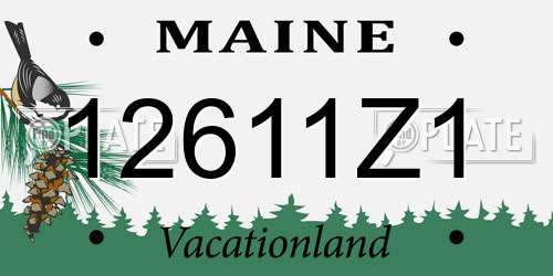 12611Z1 Maine License Plate