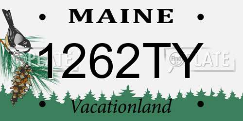 1262TY Maine License Plate