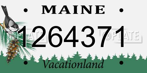 1264371 Maine License Plate