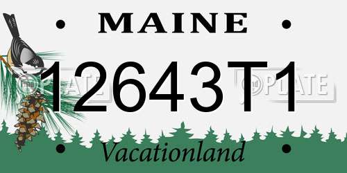 12643T1 Maine License Plate
