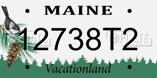 12738T2 Maine License Plate