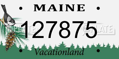 127875 Maine License Plate