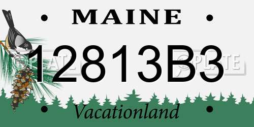 12813B3 Maine License Plate