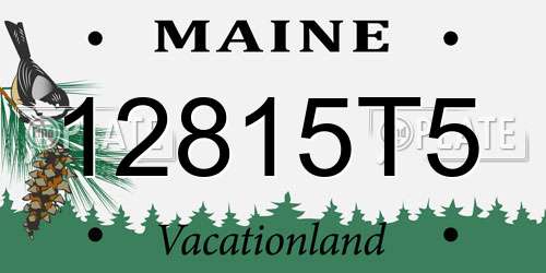 12815T5 Maine License Plate