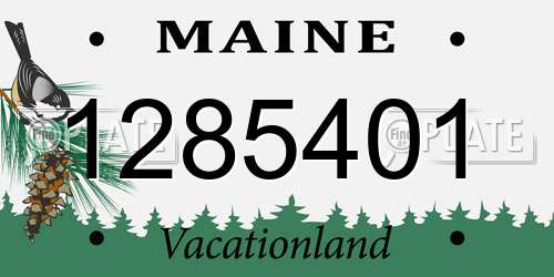 1285401 Maine License Plate
