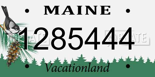1285444 Maine License Plate