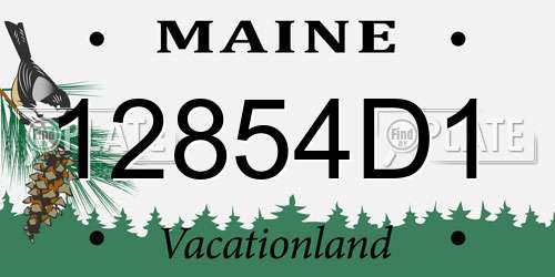 12854D1 Maine License Plate