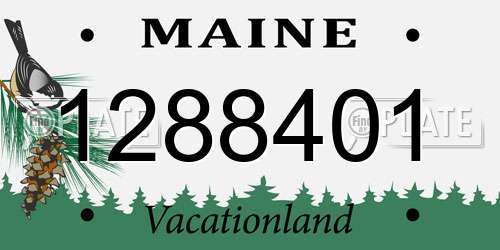 1288401 Maine License Plate