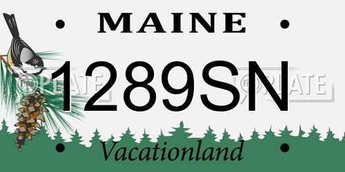 1289SN Maine License Plate