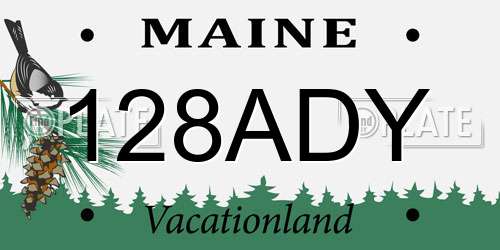 128ADY Maine License Plate