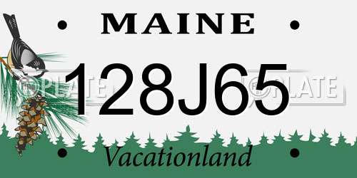 128J65 Maine License Plate