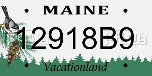 12918B9 Maine License Plate