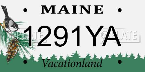 1291YA Maine License Plate