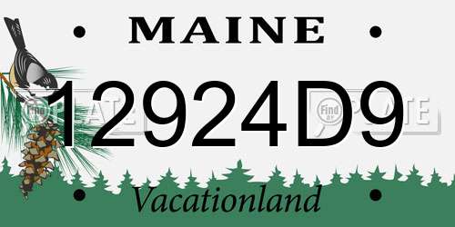 12924D9 Maine License Plate