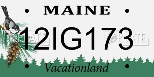 12IG173 Maine License Plate