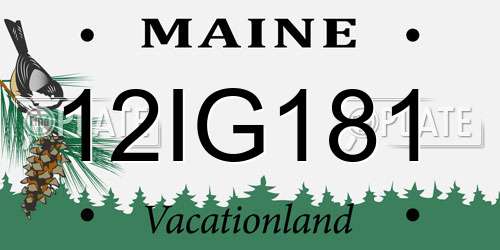 12IG181 Maine License Plate