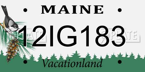 12IG183 Maine License Plate