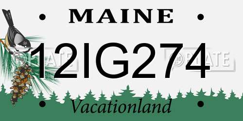 12IG274 Maine License Plate