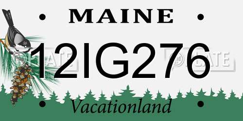 12IG276 Maine License Plate