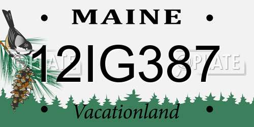 12IG387 Maine License Plate