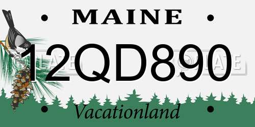 12QD890 Maine License Plate