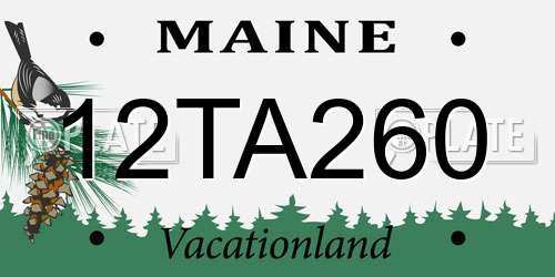 12TA260 Maine License Plate
