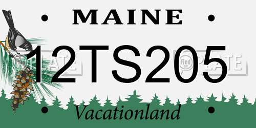 12TS205 Maine License Plate