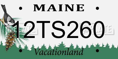 12TS260 Maine License Plate