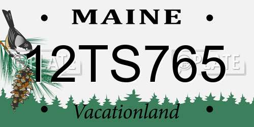12TS765 Maine License Plate