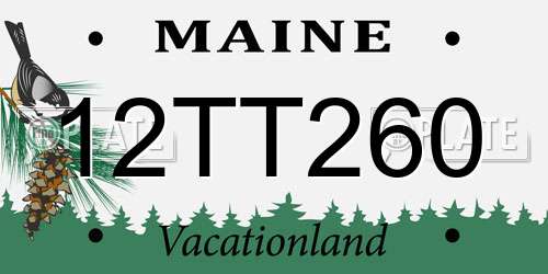 12TT260 Maine License Plate