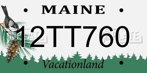 12TT760 Maine License Plate