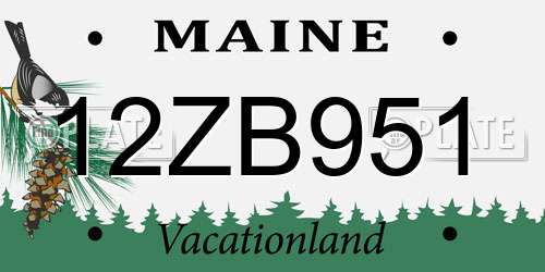 12ZB951 Maine License Plate