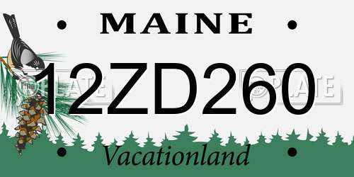 12ZD260 Maine License Plate