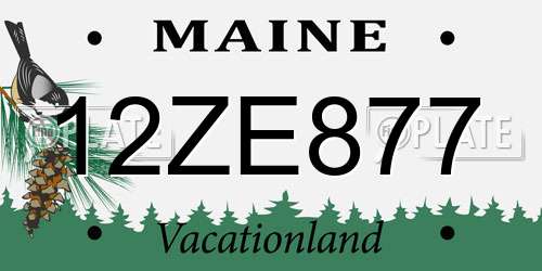 12ZE877 Maine License Plate