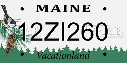 12ZI260 Maine License Plate