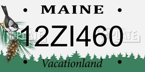 12ZI460 Maine License Plate