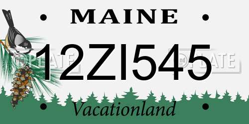 12ZI545 Maine License Plate