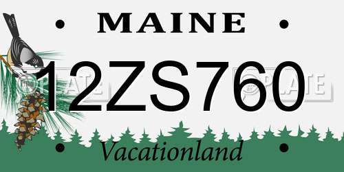 12ZS760 Maine License Plate