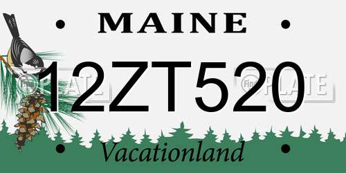 12ZT520 Maine License Plate