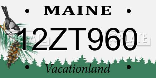 12ZT960 Maine License Plate